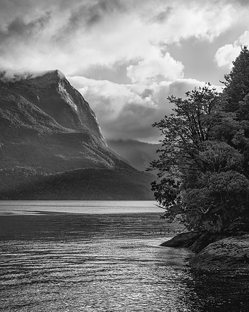 Evening at Doubtful Sound