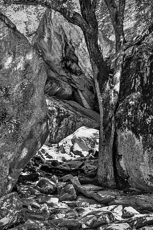 Rock and Sun