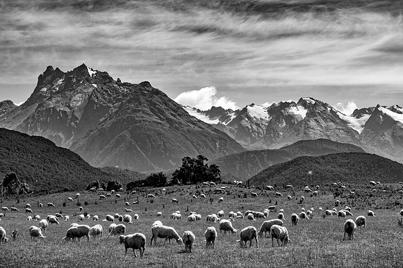 Near Glenorchy