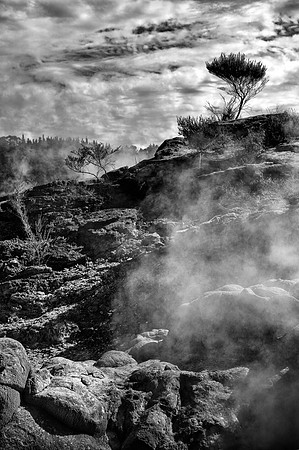Rotorua #1