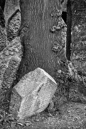 Jewish Cemetery 4