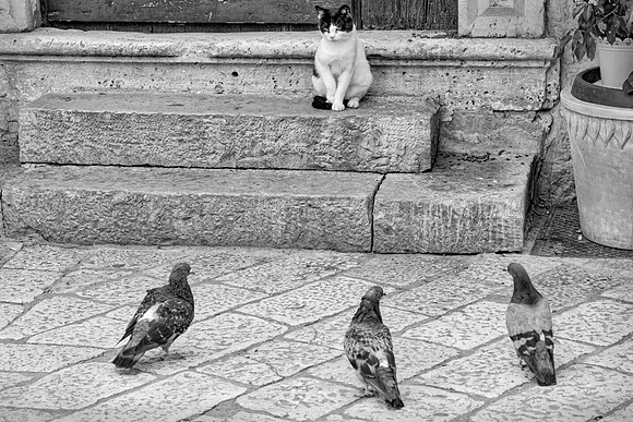 And Then The Queen Summoned Her Ministers