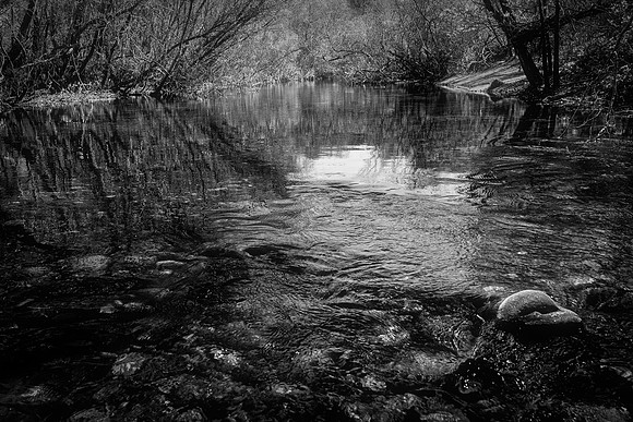 Carmel River 2