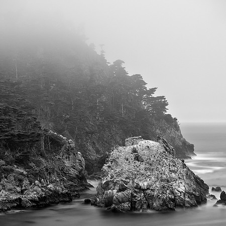 Point Lobos Fog