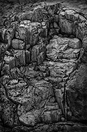 Wood Becomes Stone