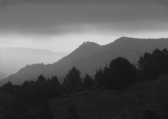 Palo Corona Fog
