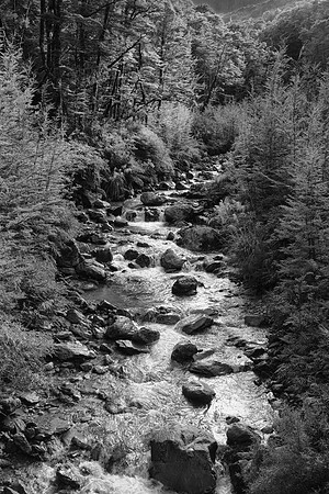 Routeburn Track #1